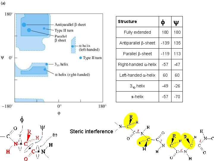 f y Fully extended 180 Antiparallel b-sheet -139 135 Parallel b-sheet -119 113 Right-handed