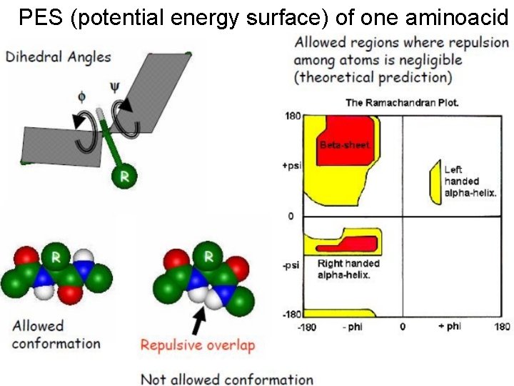 PES (potential energy surface) of one aminoacid 