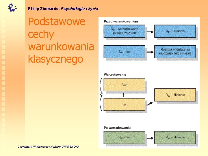 Philip Zimbardo, Psychologia i życie Podstawowe cechy warunkowania klasycznego Copyright © Wydawnictwo Naukowe PWN