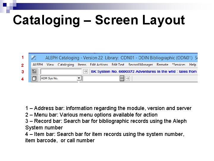 Cataloging – Screen Layout 1 2 3 4 1 – Address bar: information regarding