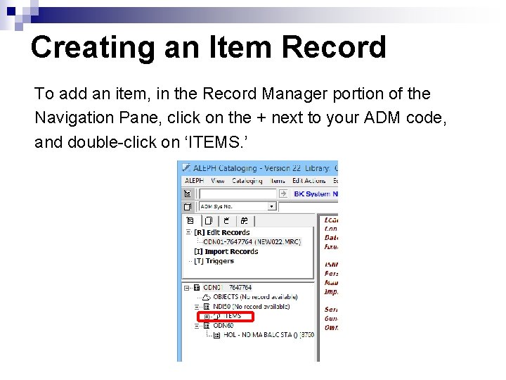 Creating an Item Record To add an item, in the Record Manager portion of