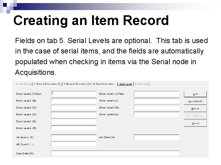 Creating an Item Record Fields on tab 5. Serial Levels are optional. This tab
