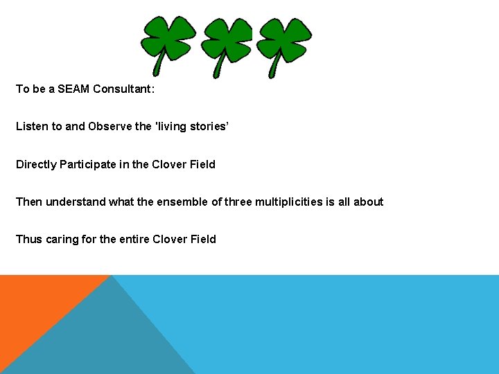 To be a SEAM Consultant: Listen to and Observe the 'living stories’ Directly Participate