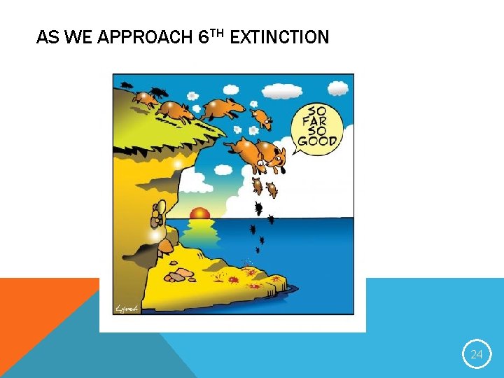 AS WE APPROACH 6 TH EXTINCTION 24 