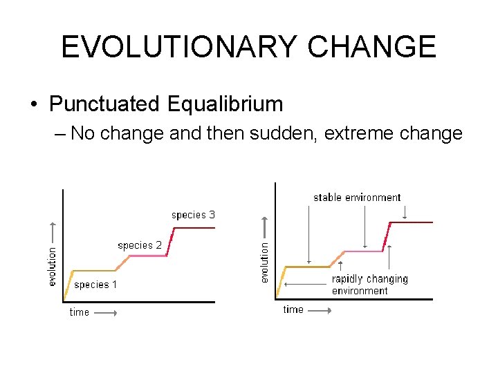 EVOLUTIONARY CHANGE • Punctuated Equalibrium – No change and then sudden, extreme change 