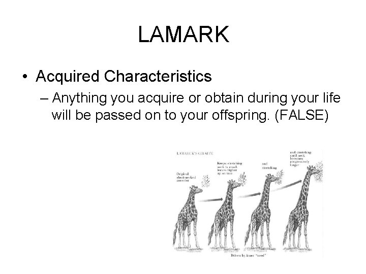 LAMARK • Acquired Characteristics – Anything you acquire or obtain during your life will