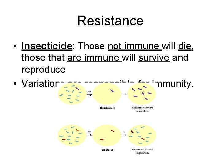 Resistance • Insecticide: Those not immune will die, those that are immune will survive