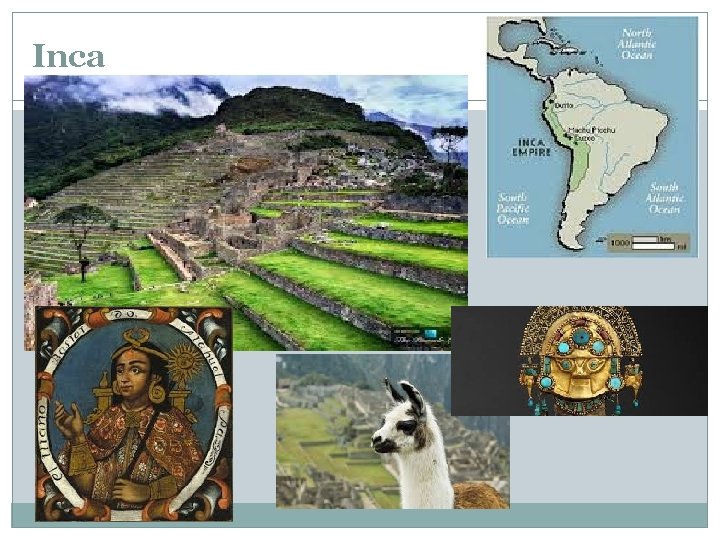 Inca 