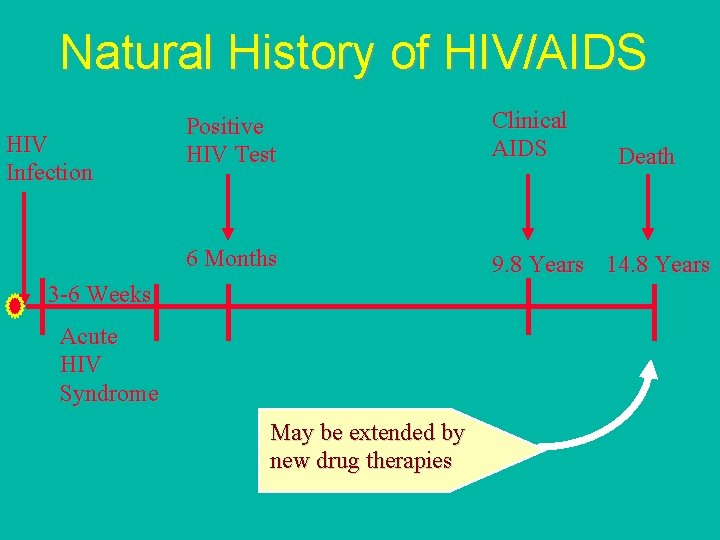 Natural History of HIV/AIDS HIV Infection Positive HIV Test Clinical AIDS 6 Months 9.