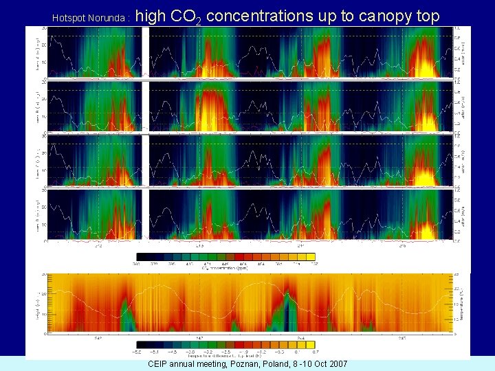 Hotspot Norunda : high CO 2 concentrations up to canopy top CEIP annual meeting,