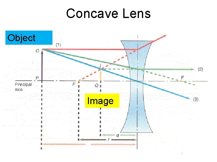 Concave Lens Object Image 