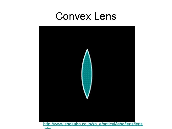 Convex Lens http: //www. shokabo. co. jp/sp_e/optical/labo/lens 