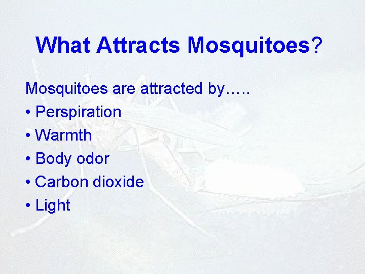 What Attracts Mosquitoes? Mosquitoes are attracted by…. . • Perspiration • Warmth • Body