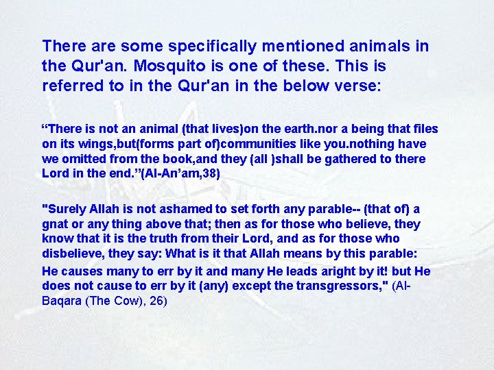 There are some specifically mentioned animals in the Qur'an. Mosquito is one of these.