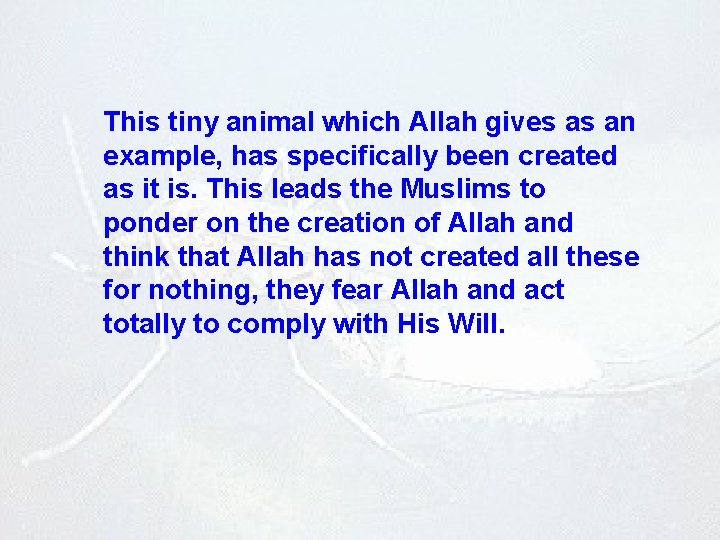 This tiny animal which Allah gives as an example, has specifically been created as