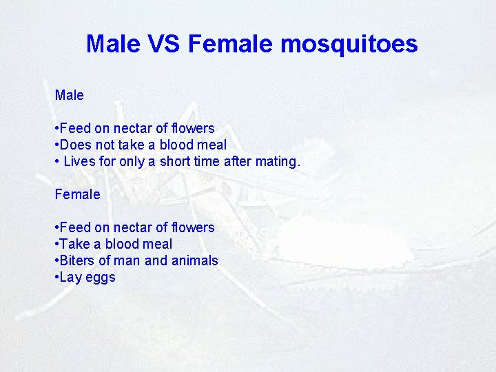 Male VS Female mosquitoes Male • Feed on nectar of flowers • Does not