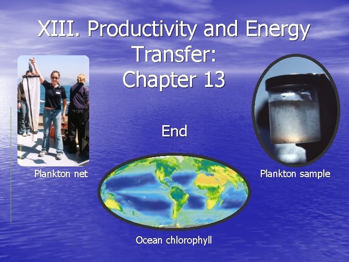 XIII. Productivity and Energy Transfer: Chapter 13 End Plankton net Plankton sample Ocean chlorophyll