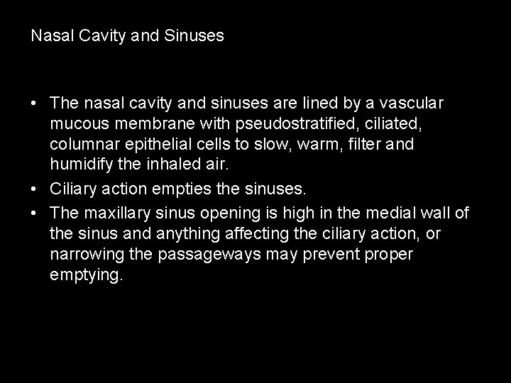 Nasal Cavity and Sinuses • The nasal cavity and sinuses are lined by a