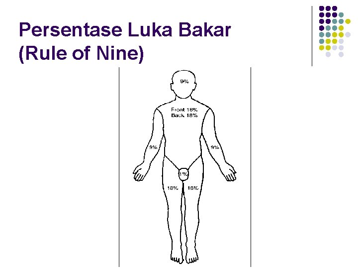 Persentase Luka Bakar (Rule of Nine) 