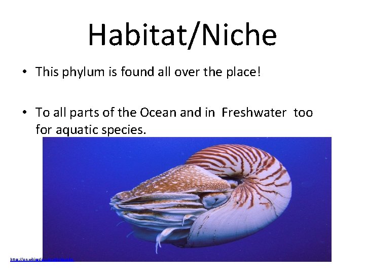 Habitat/Niche • This phylum is found all over the place! • To all parts