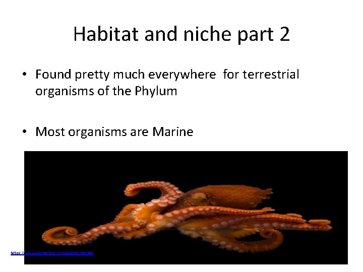 Habitat and niche part 2 • Found pretty much everywhere for terrestrial organisms of