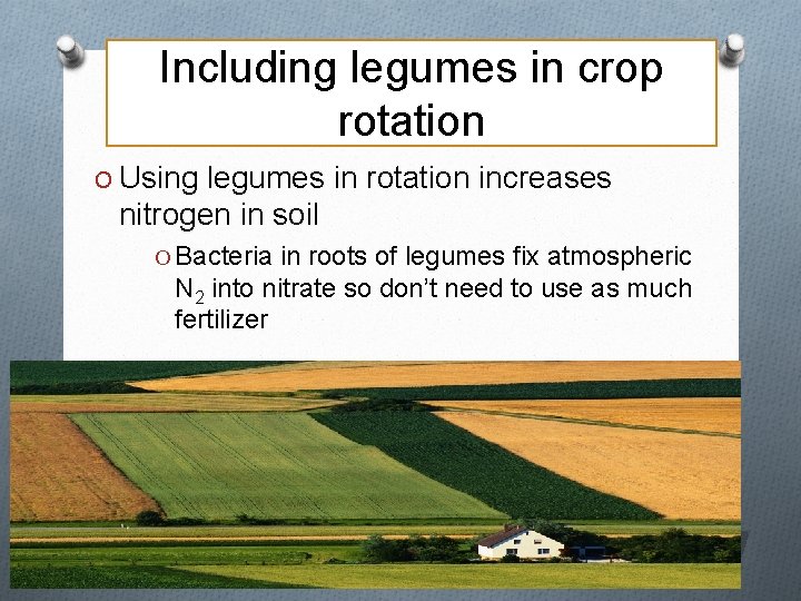 Including legumes in crop rotation O Using legumes in rotation increases nitrogen in soil