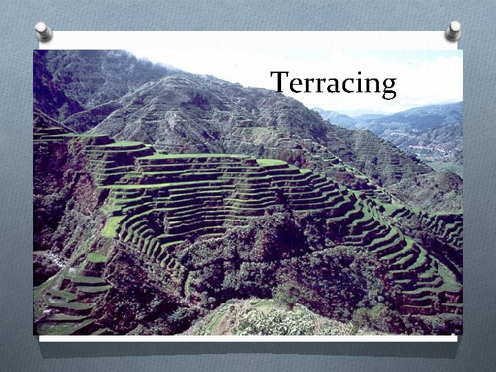 Terracing 