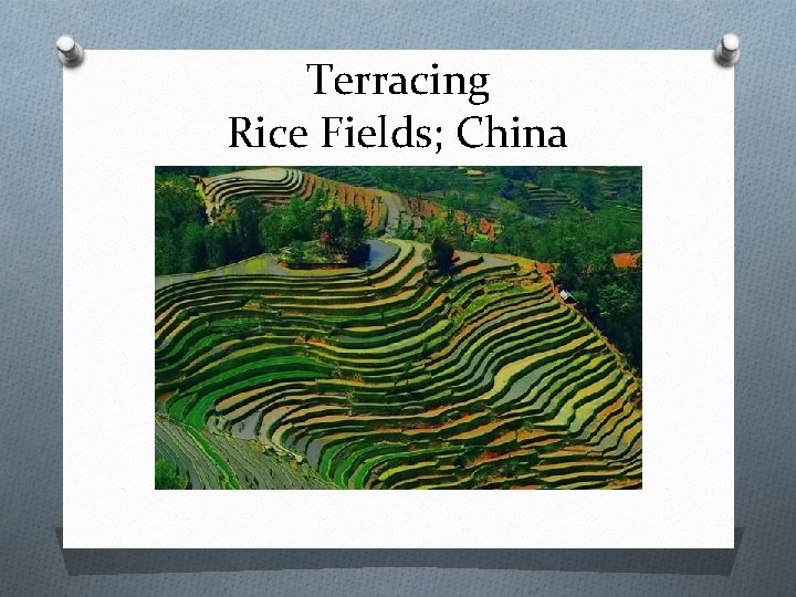 Terracing Rice Fields; China 