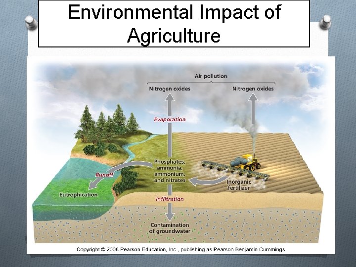 Environmental Impact of Agriculture 