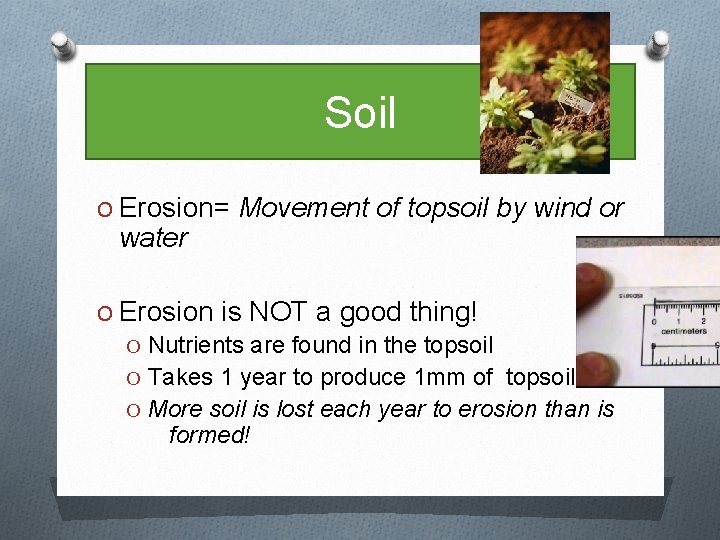 Soil O Erosion= Movement of topsoil by wind or water O Erosion is NOT