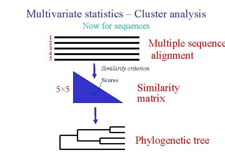 Multivariate statistics – Cluster analysis Now for sequences 1 2 3 4 5 Multiple Multivariate statistics – Cluster analysis Now for sequences 1 2 3 4 5 Multiple