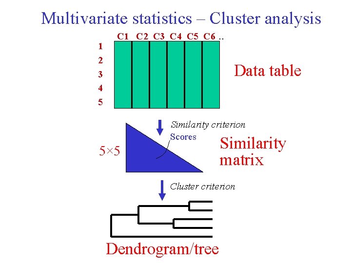 Multivariate statistics – Cluster analysis 1 2 3 4 5 C 1 C 2 Multivariate statistics – Cluster analysis 1 2 3 4 5 C 1 C 2