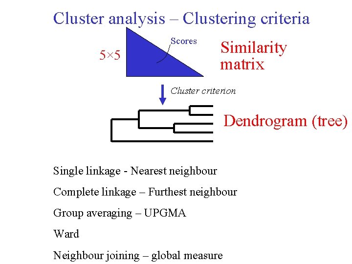 Cluster analysis – Clustering criteria Scores 5× 5 Similarity matrix Cluster criterion Dendrogram (tree) Cluster analysis – Clustering criteria Scores 5× 5 Similarity matrix Cluster criterion Dendrogram (tree)