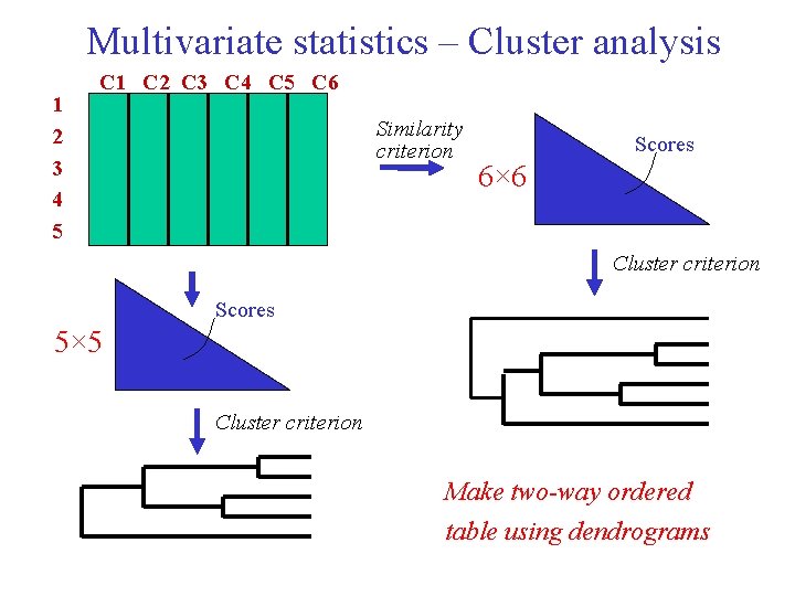 Multivariate statistics – Cluster analysis 1 2 3 4 5 C 1 C 2 Multivariate statistics – Cluster analysis 1 2 3 4 5 C 1 C 2