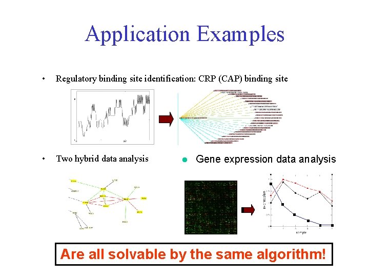 Application Examples • Regulatory binding site identification: CRP (CAP) binding site • Two hybrid Application Examples • Regulatory binding site identification: CRP (CAP) binding site • Two hybrid