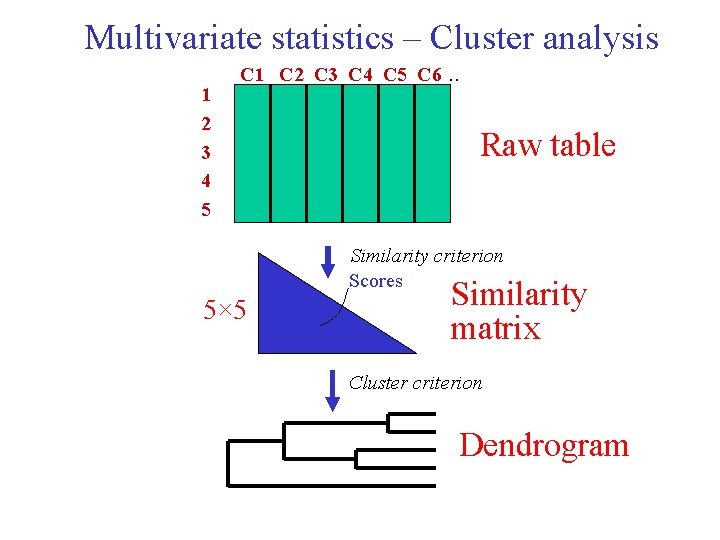 Multivariate statistics – Cluster analysis 1 2 3 4 5 C 1 C 2 Multivariate statistics – Cluster analysis 1 2 3 4 5 C 1 C 2