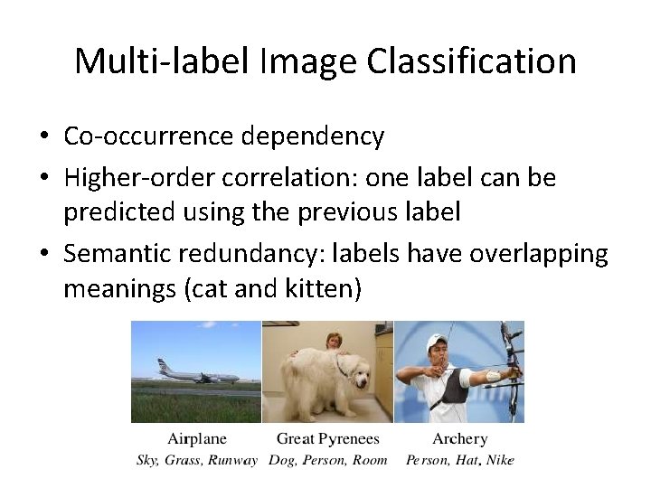 Multi-label Image Classification • Co-occurrence dependency • Higher-order correlation: one label can be predicted