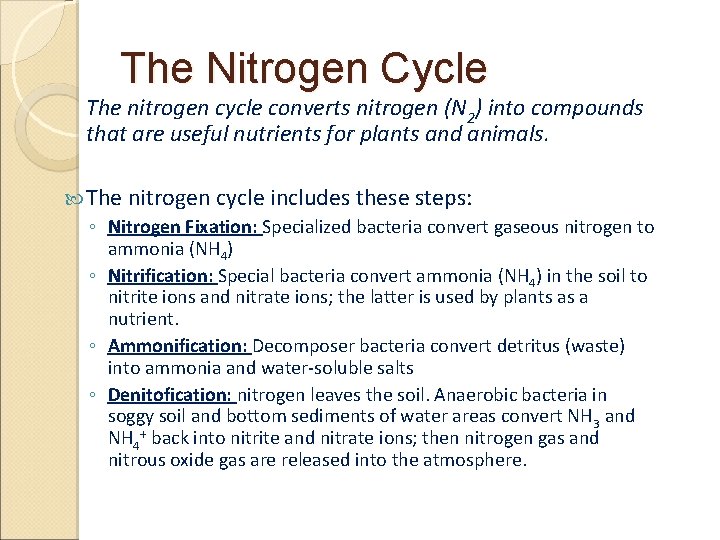 The Nitrogen Cycle The nitrogen cycle converts nitrogen (N 2) into compounds that are