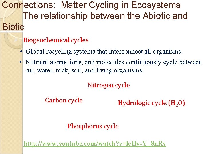 Connections: Matter Cycling in Ecosystems The relationship between the Abiotic and Biotic Ø Biogeochemical