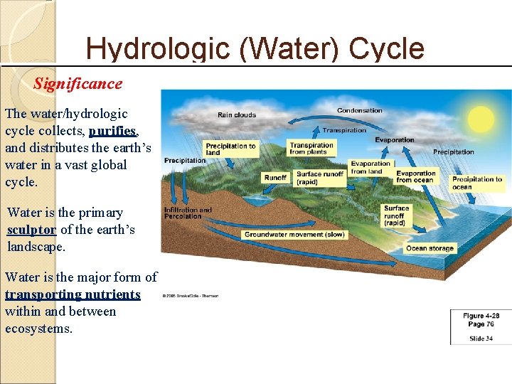 Hydrologic (Water) Cycle Significance The water/hydrologic cycle collects, purifies, and distributes the earth’s water