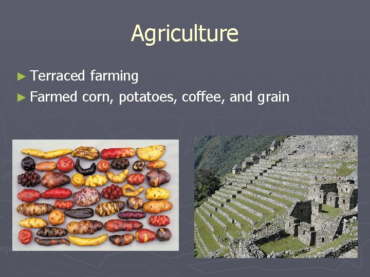 Agriculture ► Terraced farming ► Farmed corn, potatoes, coffee, and grain 
