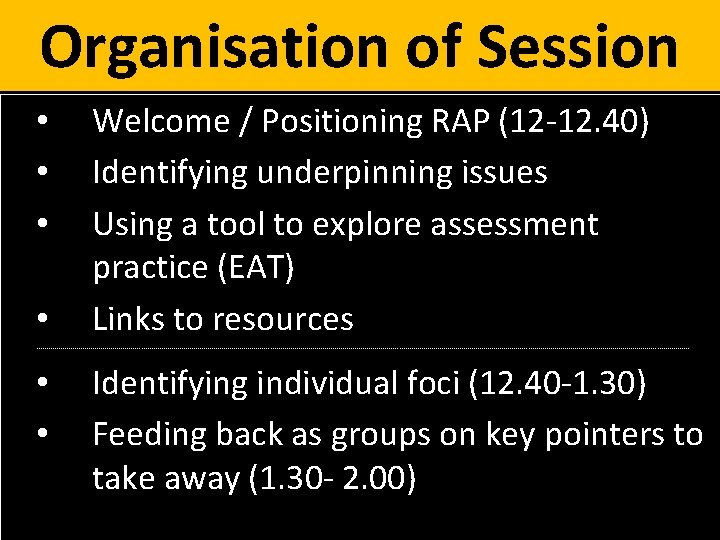 Making Assessment Feedback Manageable Professor Carol Evans c
