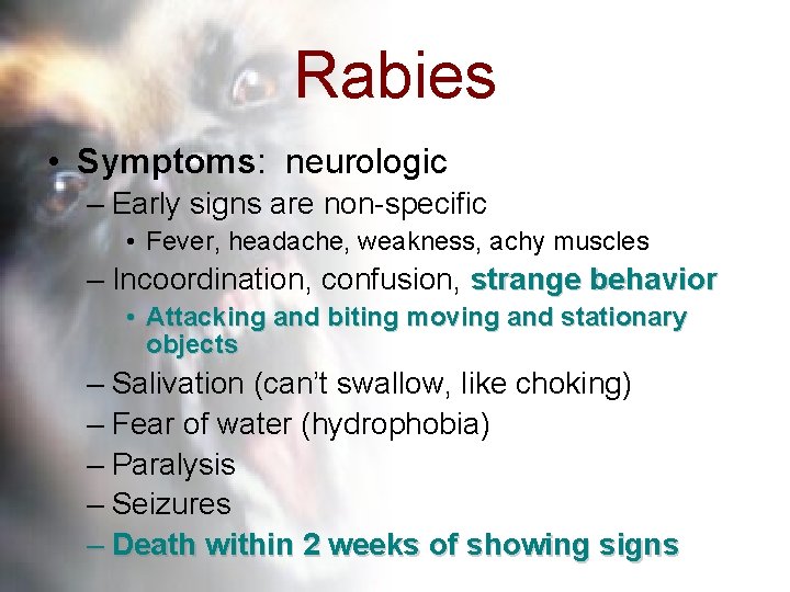 Rabies • Symptoms: neurologic – Early signs are non-specific • Fever, headache, weakness, achy
