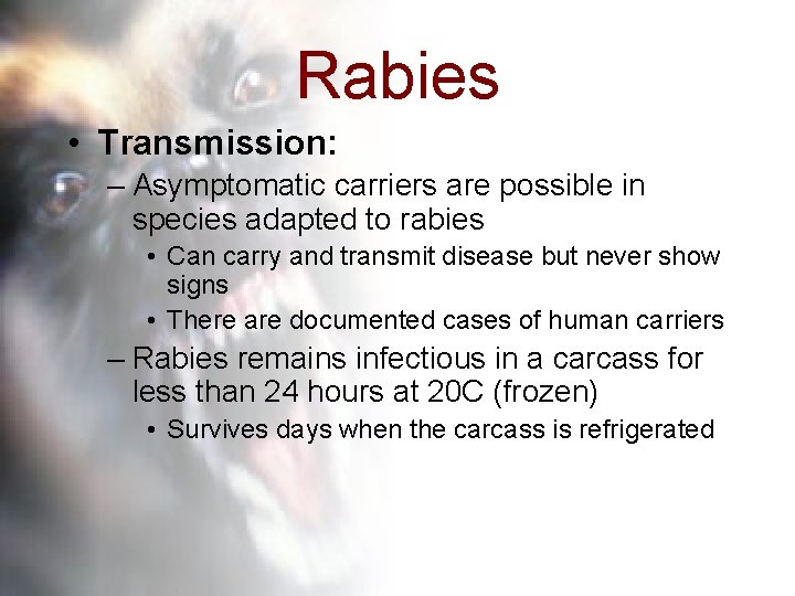 Rabies • Transmission: – Asymptomatic carriers are possible in species adapted to rabies •
