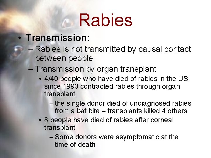 Rabies • Transmission: – Rabies is not transmitted by causal contact between people –