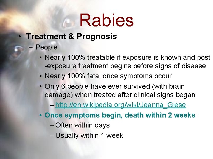 Rabies • Treatment & Prognosis – People • Nearly 100% treatable if exposure is