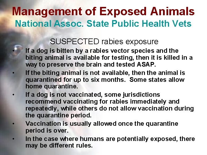 Management of Exposed Animals National Assoc. State Public Health Vets SUSPECTED rabies exposure •