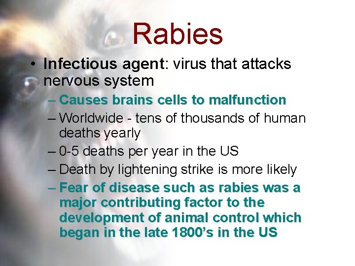 Rabies • Infectious agent: virus that attacks nervous system – Causes brains cells to