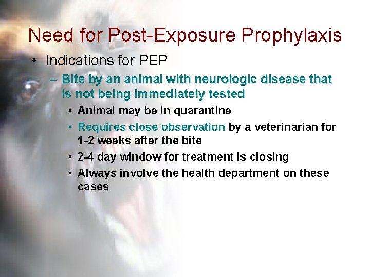 Need for Post-Exposure Prophylaxis • Indications for PEP – Bite by an animal with