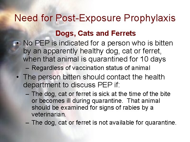 Need for Post-Exposure Prophylaxis Dogs, Cats and Ferrets • No PEP is indicated for